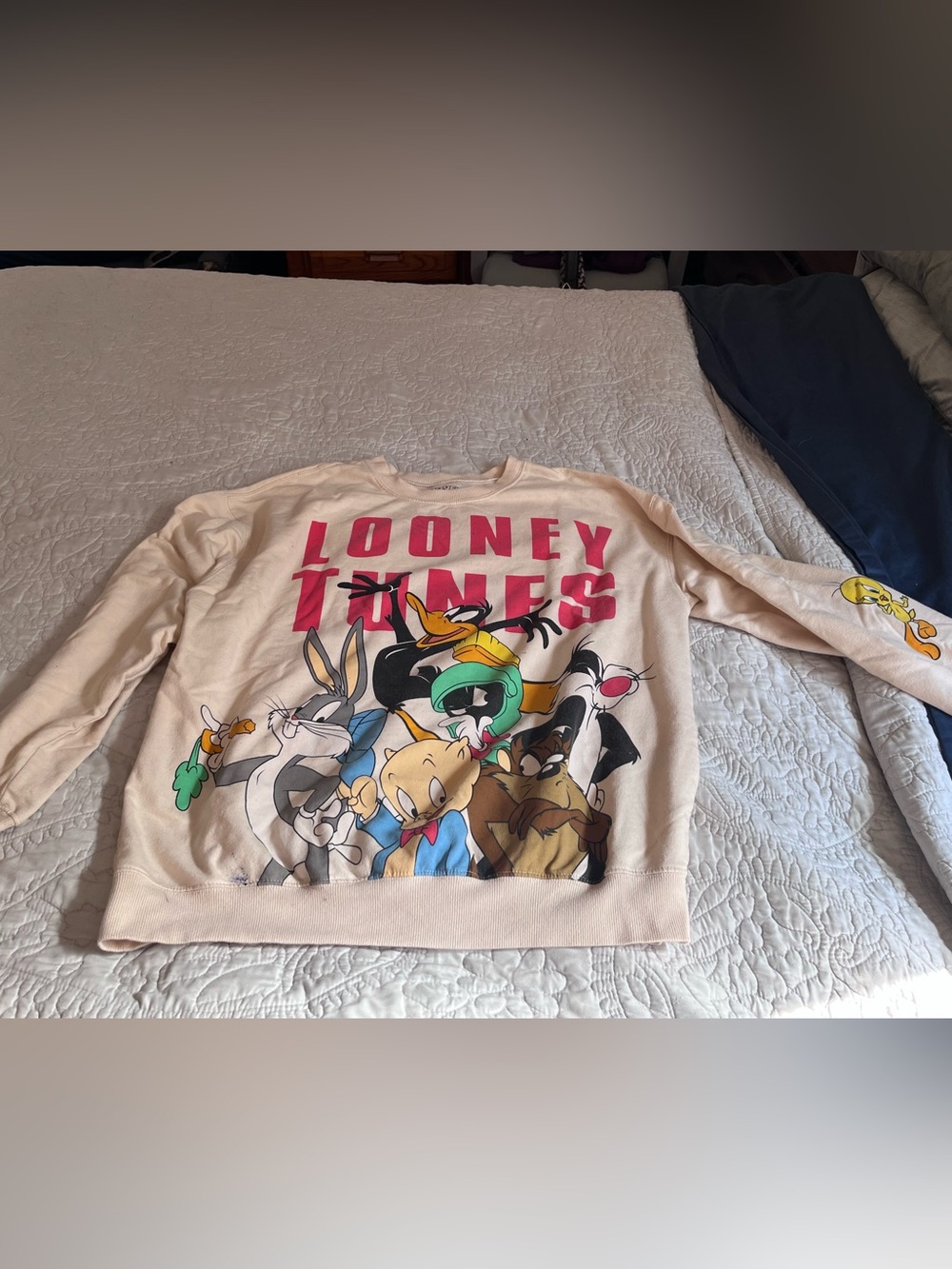 Warner Bros. Looney Tunes Printed Logo sweatshirt
